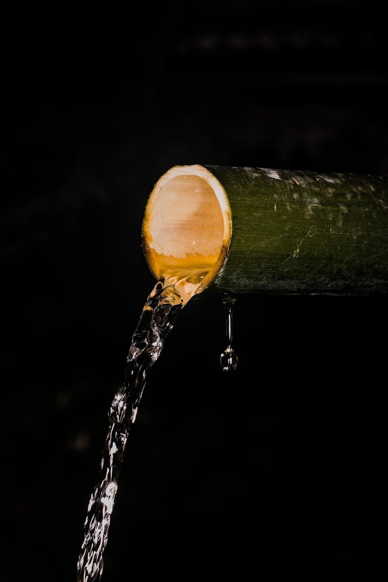 Bamboo Fountains