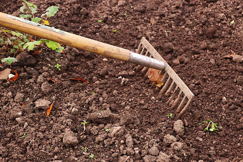 Rake